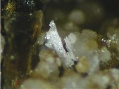 Shomiokite-(Y) crystals - click for larger pic