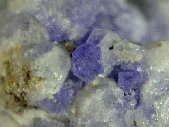 Sodalite crystals - click for larger pic