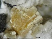 Thomasclarkite-(Y) crystals - click for larger pic