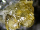 Thomasclarkite-(Y) crystals - click for larger pic