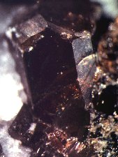 Cristaux de vésuvianite - cliquez pour photo grand format