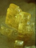 Wöhlerite crystals - click for larger pic