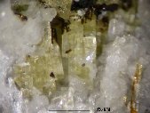Wöhlerite crystals - click for larger pic