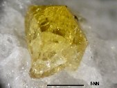 Zircon crystals - click for larger pic