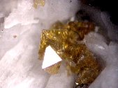 Zircon crystals - click for larger pic