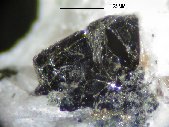 Annite crystals - click for larger pic