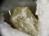 Burbankite crystal - click for larger pic