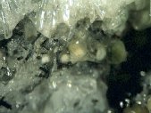 Burbankite crystals - click for larger pic