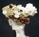 Catapleiite crystals - click for larger pic