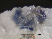 Corundum crystals - click for larger pic