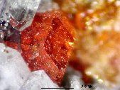 Ferrokentbrooksite crystals - click for larger pic