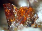 Mangan-neptunite crystals - click for larger pic