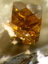 Mangan-neptunite - click for larger pic